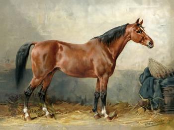 Mecklenburger Horse by Eerelman